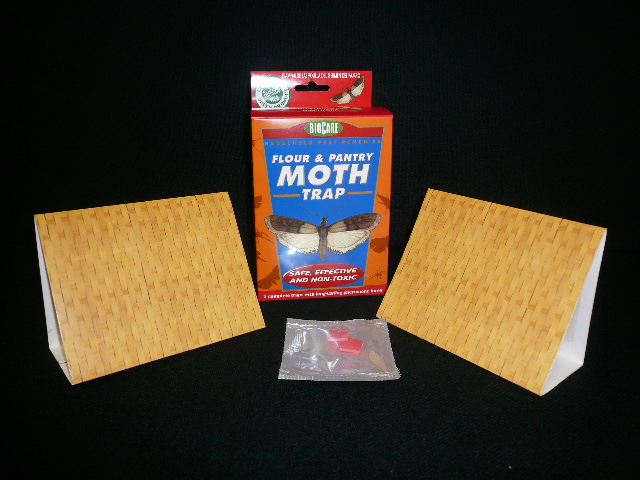 MEAL MOTH 2 PK - BOX